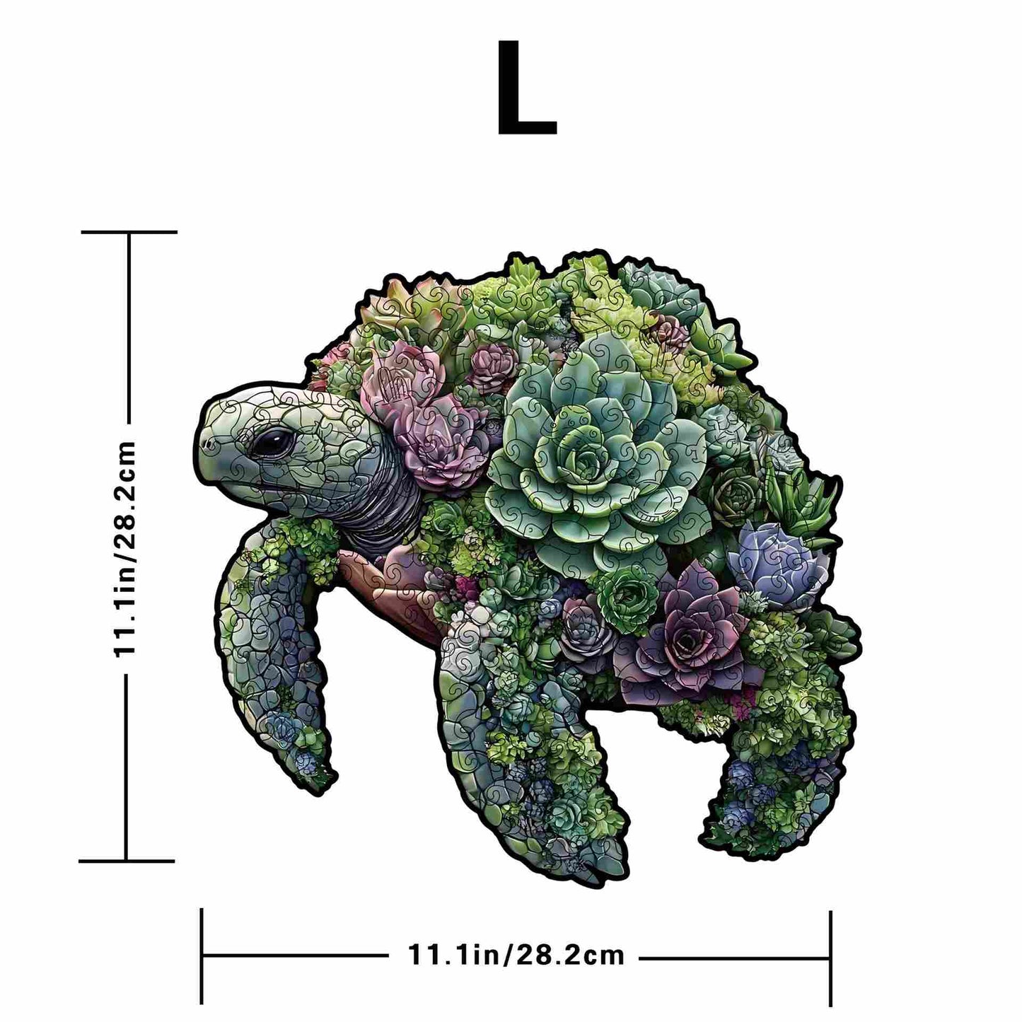 wooden puzzle of turtle made of succulents and measurements on a white background