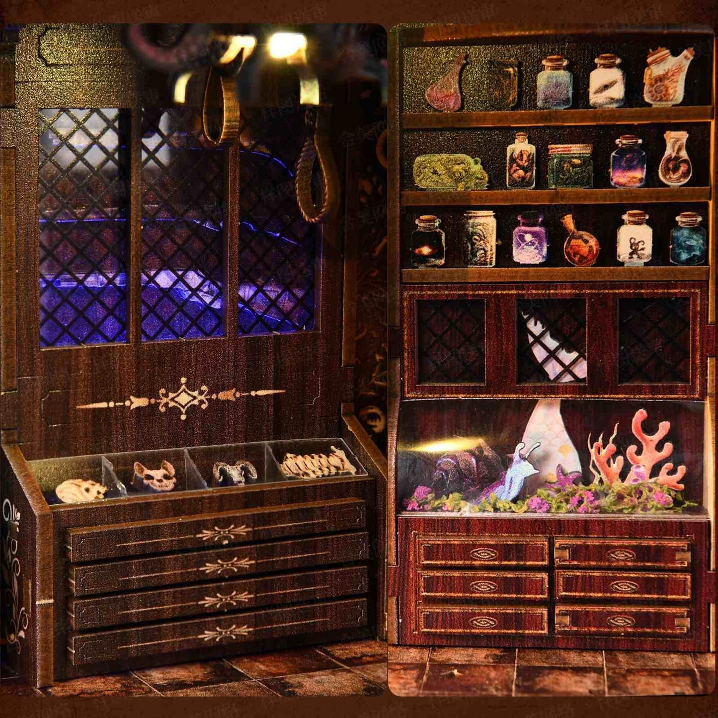 Chamber of Exotic Beasts DIY Book Nook Shelf Insert