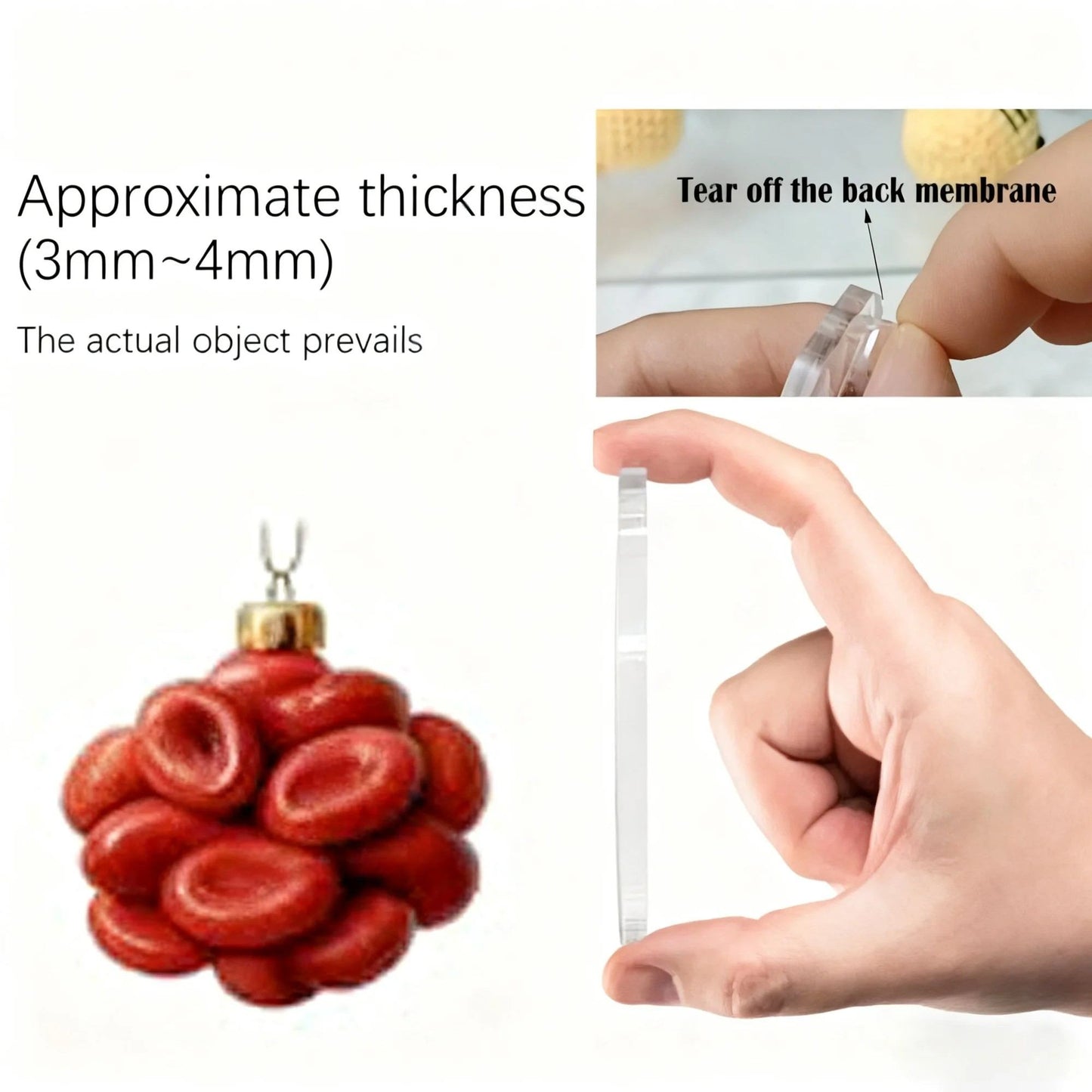 Human Anatomy Advent Calendar 2025