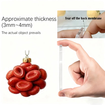 Human Anatomy Advent Calendar 2025