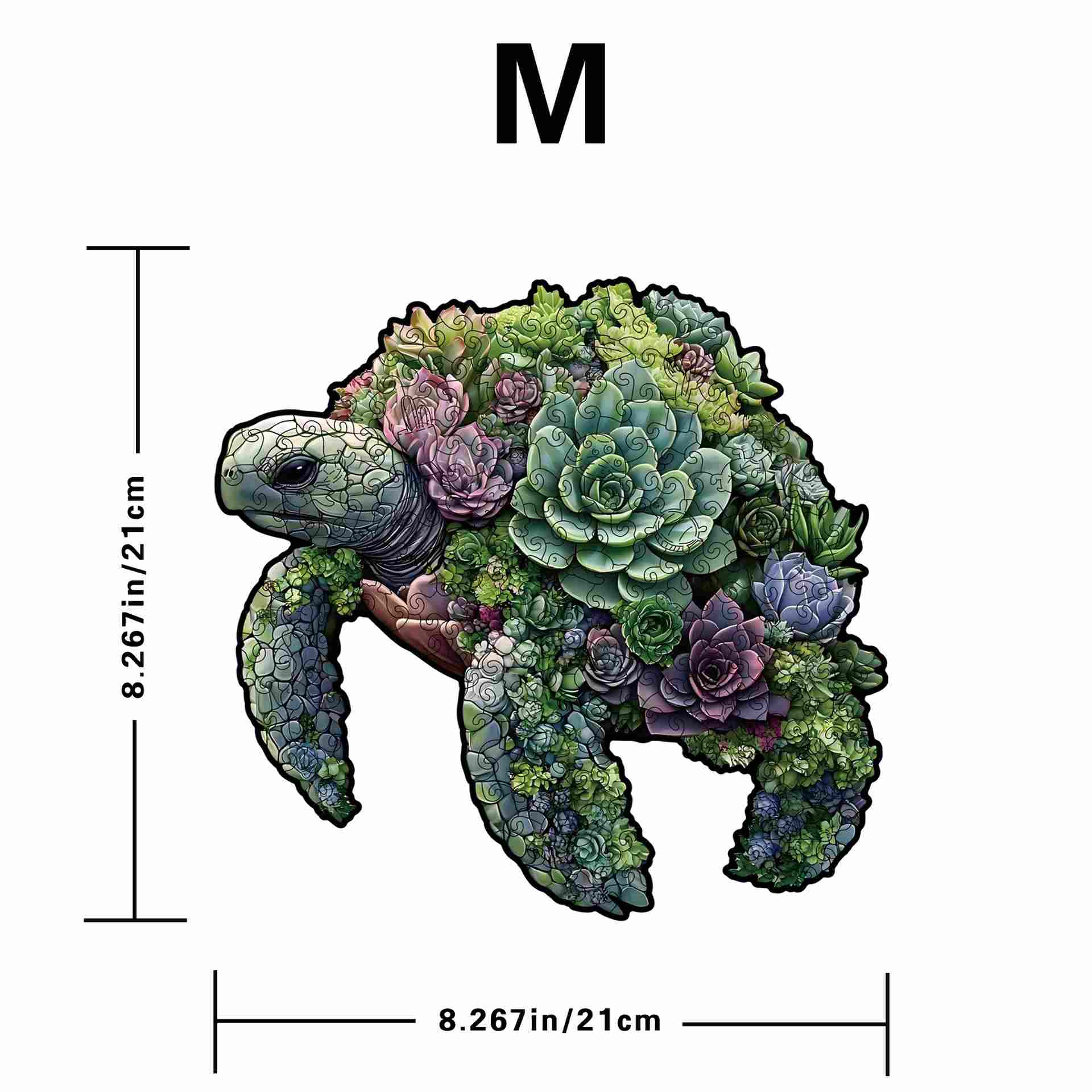 turtle wooden puzzle with succulents and measurements on a white background